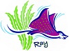 ray